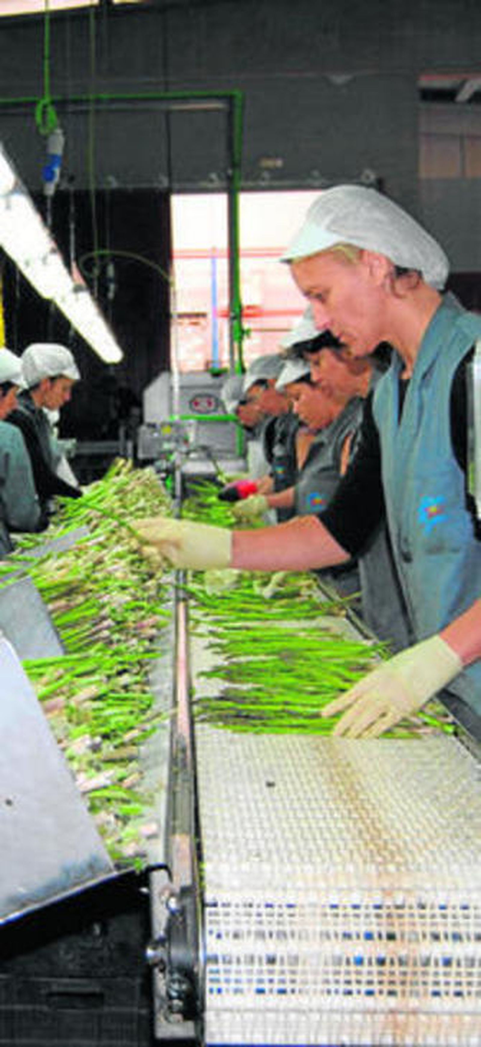 El sector agrario es uno de los que más peso tiene en este tipo de empresas.