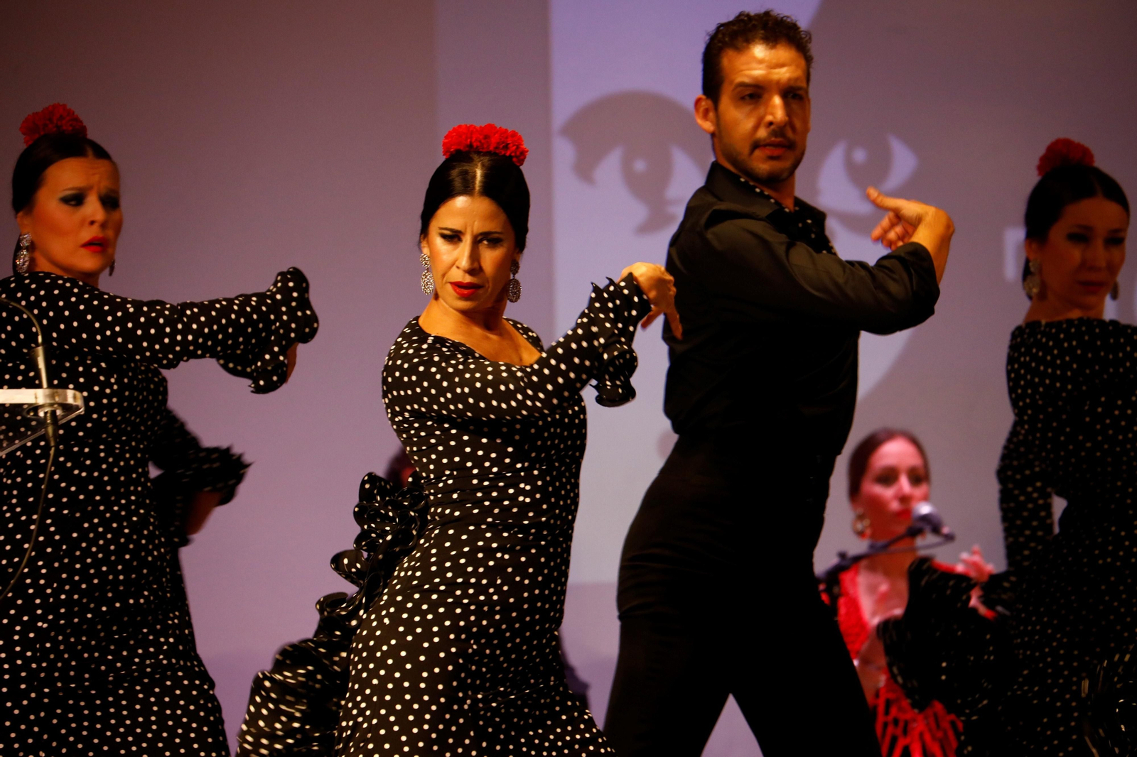 El Encuentro de Escuelas de Baile de Córdoba, en imágenes