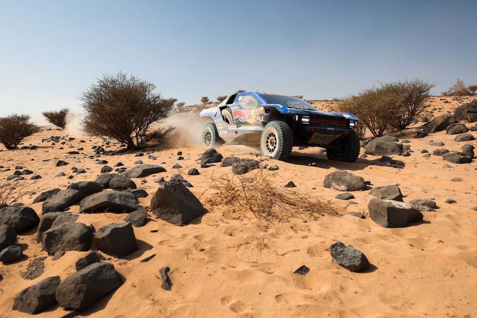 Las mejores fotos del Rally Dakar | undécima etapa