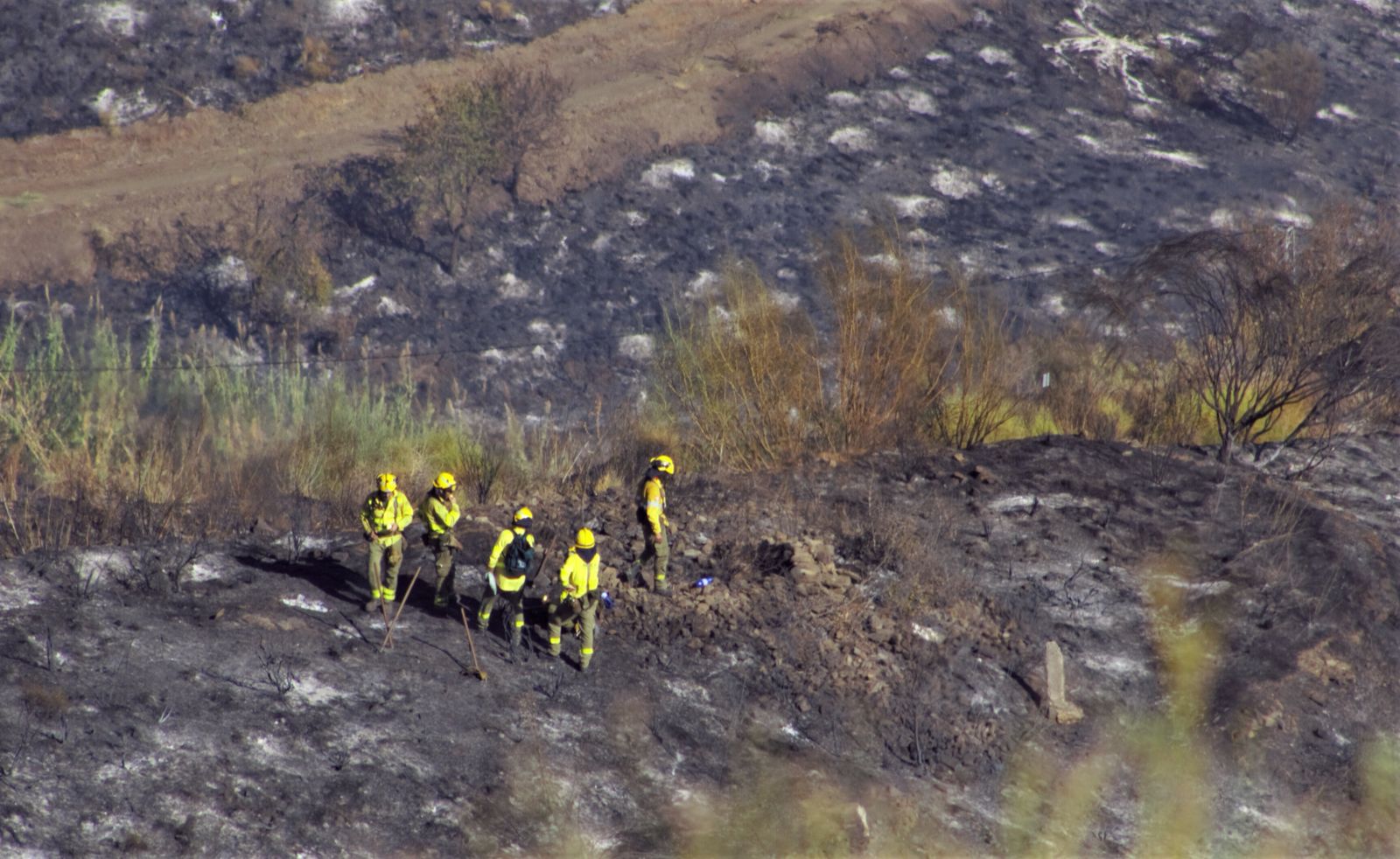 Galería de imágenes del incendio forestal de Almuñécar e Ítrabo