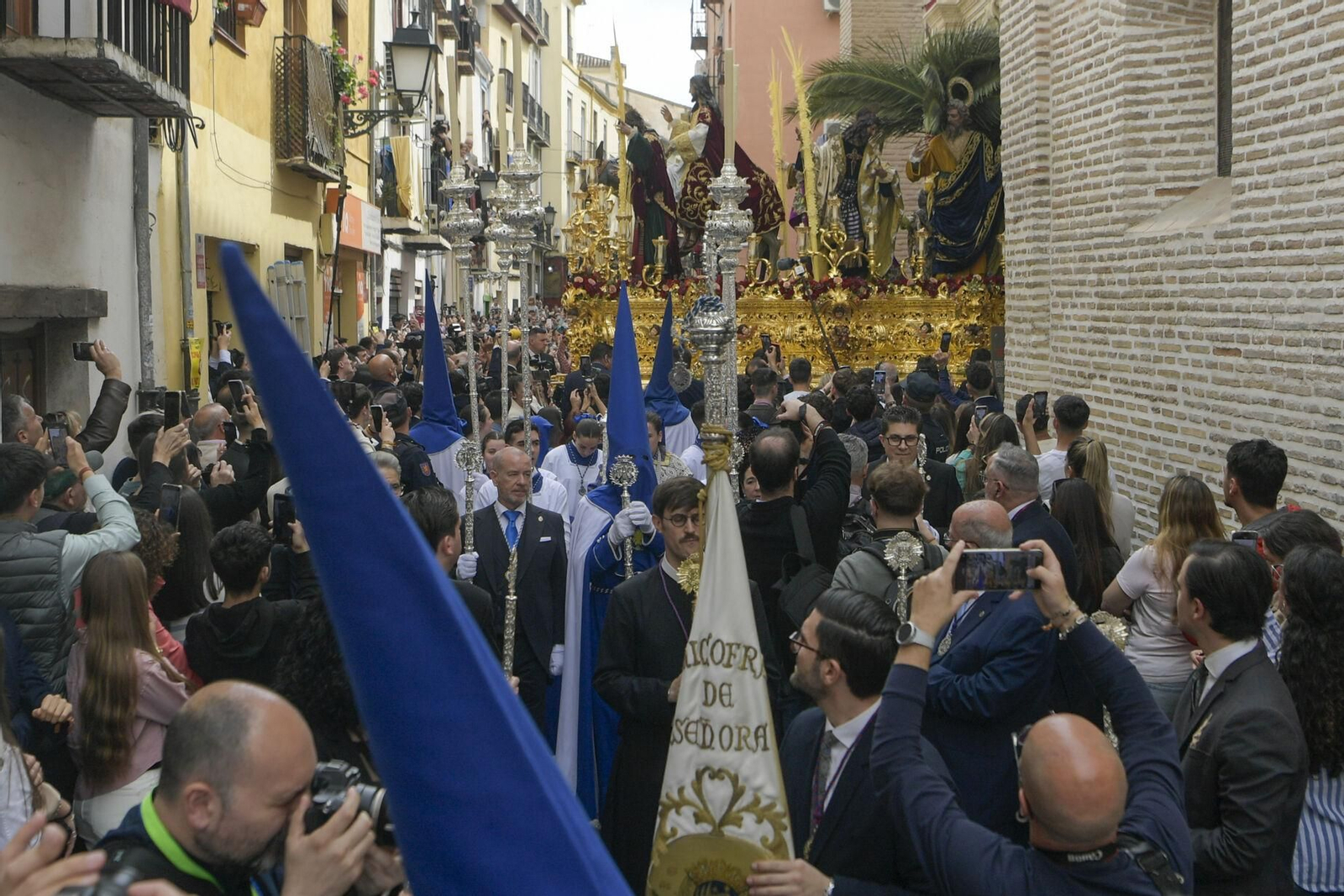 Así vivió Granada la salida de la Hermandad de la Borriquilla 2025