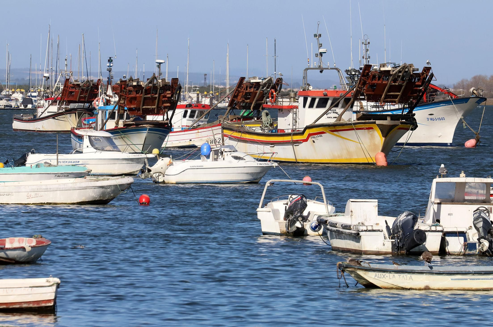 Barcos de draga hidráulica para la pesca de la chirla en un puerto onubense