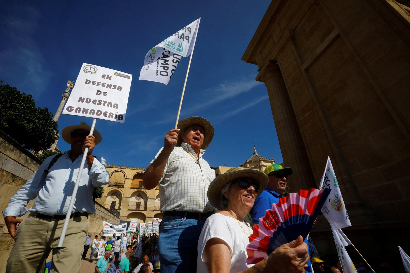 La protesta del sector agrario contra las políticas de la UE en Córdoba, en imágenes