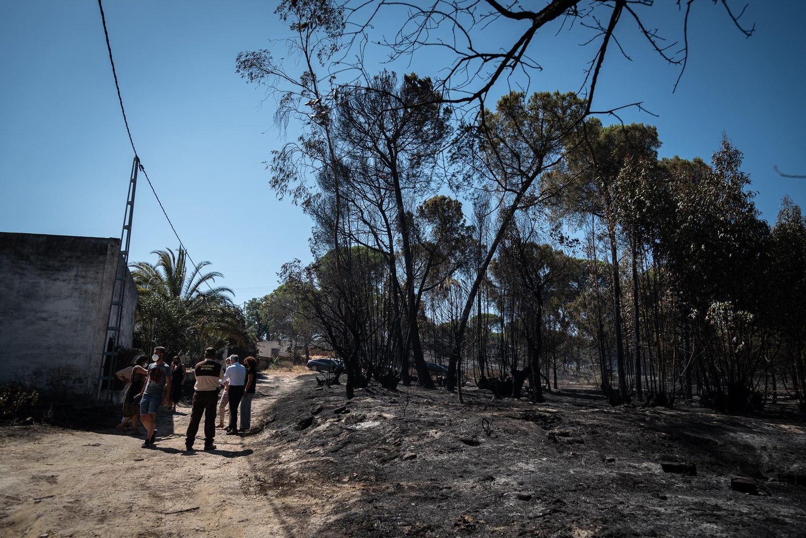 Imágenes de las labores de extinción del incendio de Bonares