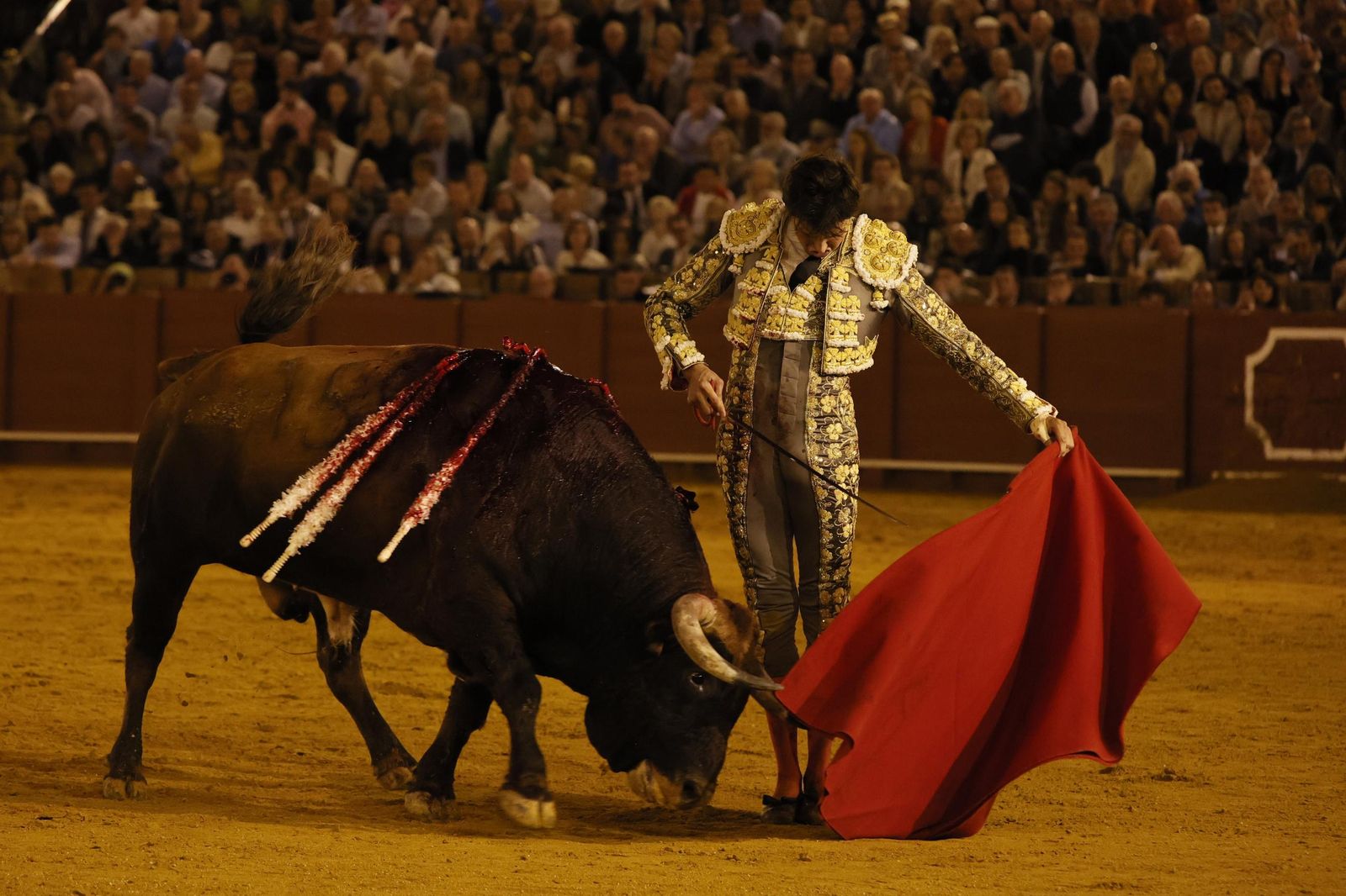 Las imágenes del festejo