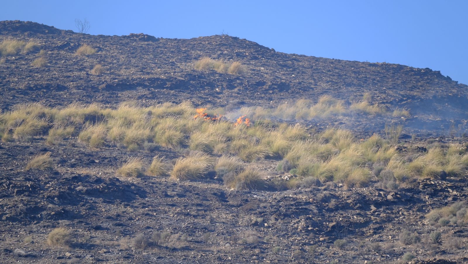 Fotogalería incendio en Castro de Filabres. Almería