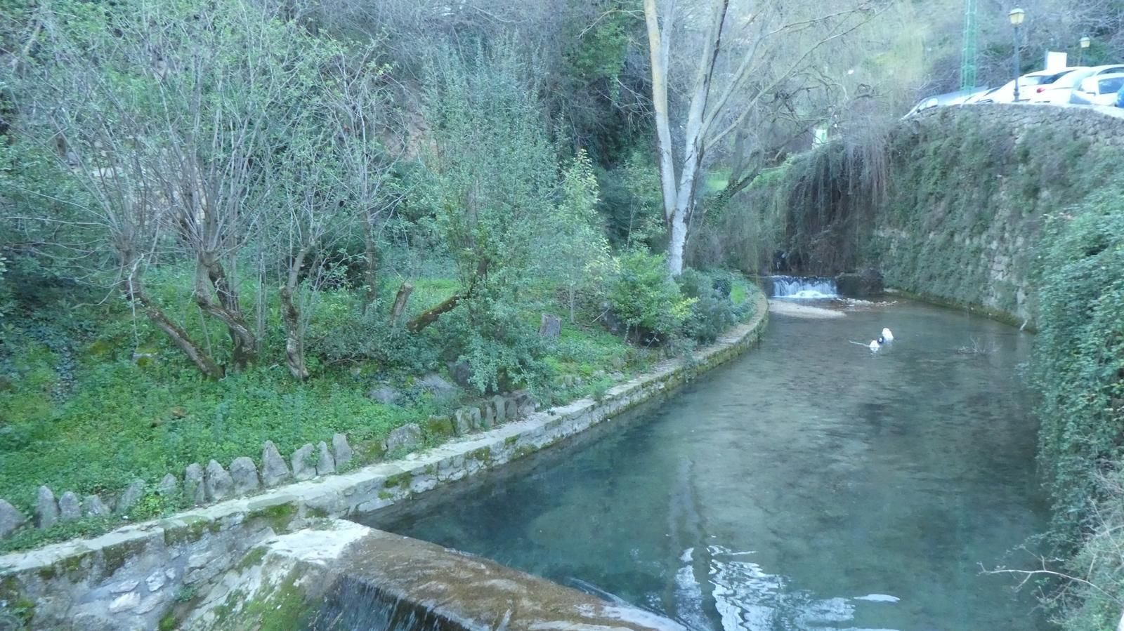 Sendero circular Río Cerezuelo (SL-A 266)