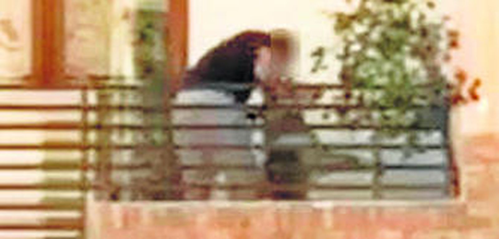 Un vídeo captó la agresión del animal.