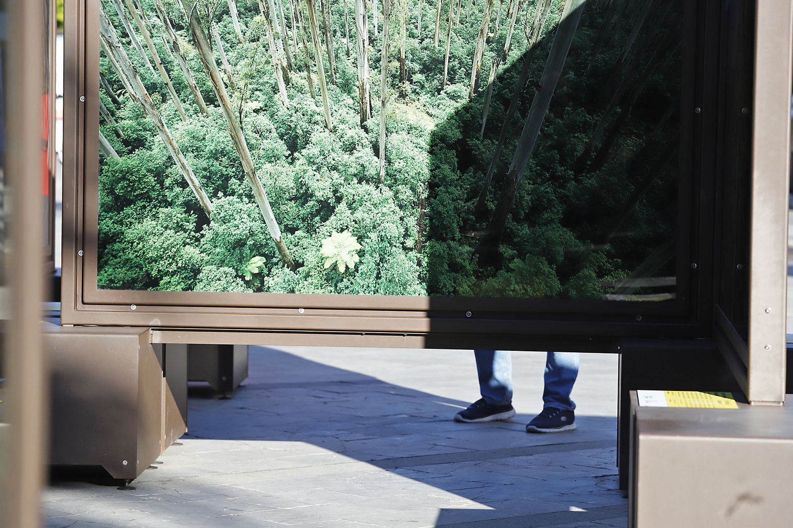 Las imágenes más destacadas del viernes 24 de noviembre en Huelva