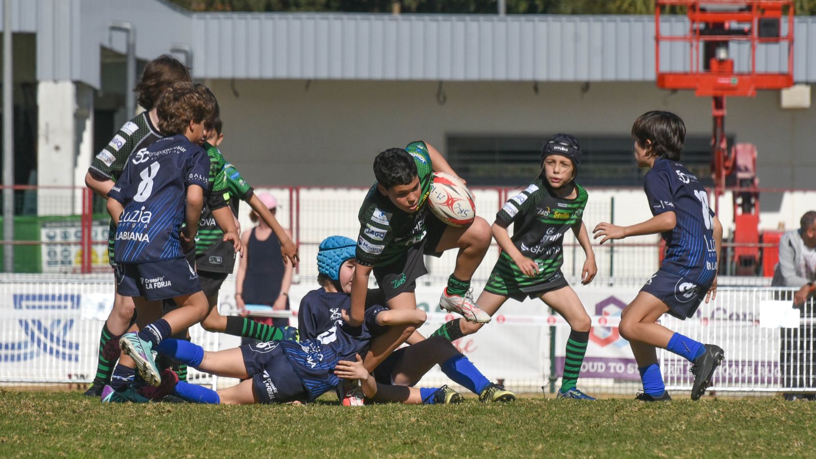 Las fotos del Festival Andaluz de rugby gradual en Pueblo Nuevo de Guadiaro