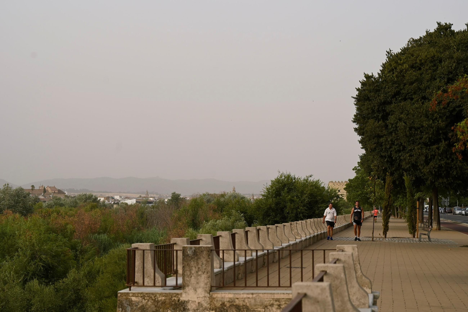 Calima sobre Córdoba