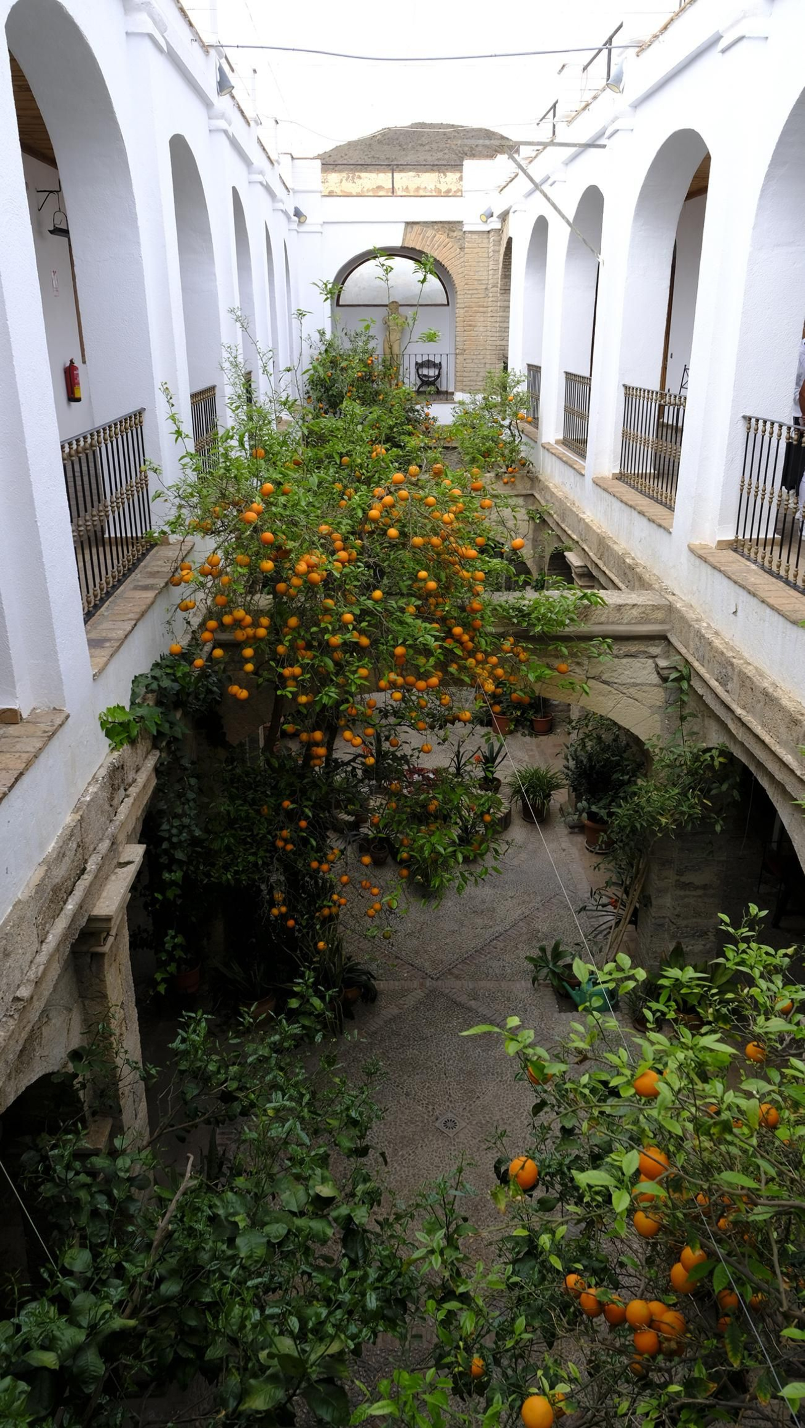 imágenes de la presentación de los nuevos Mercedes-Benz eléctricos, en SAVERES Huércal de Almería