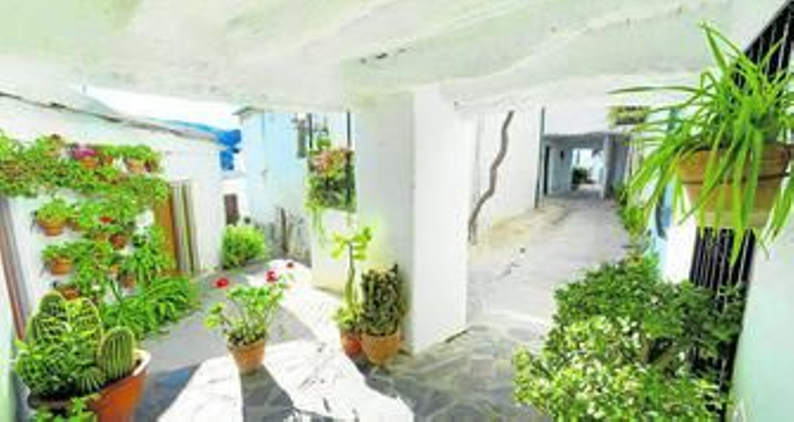 El Gazpacho de Clark