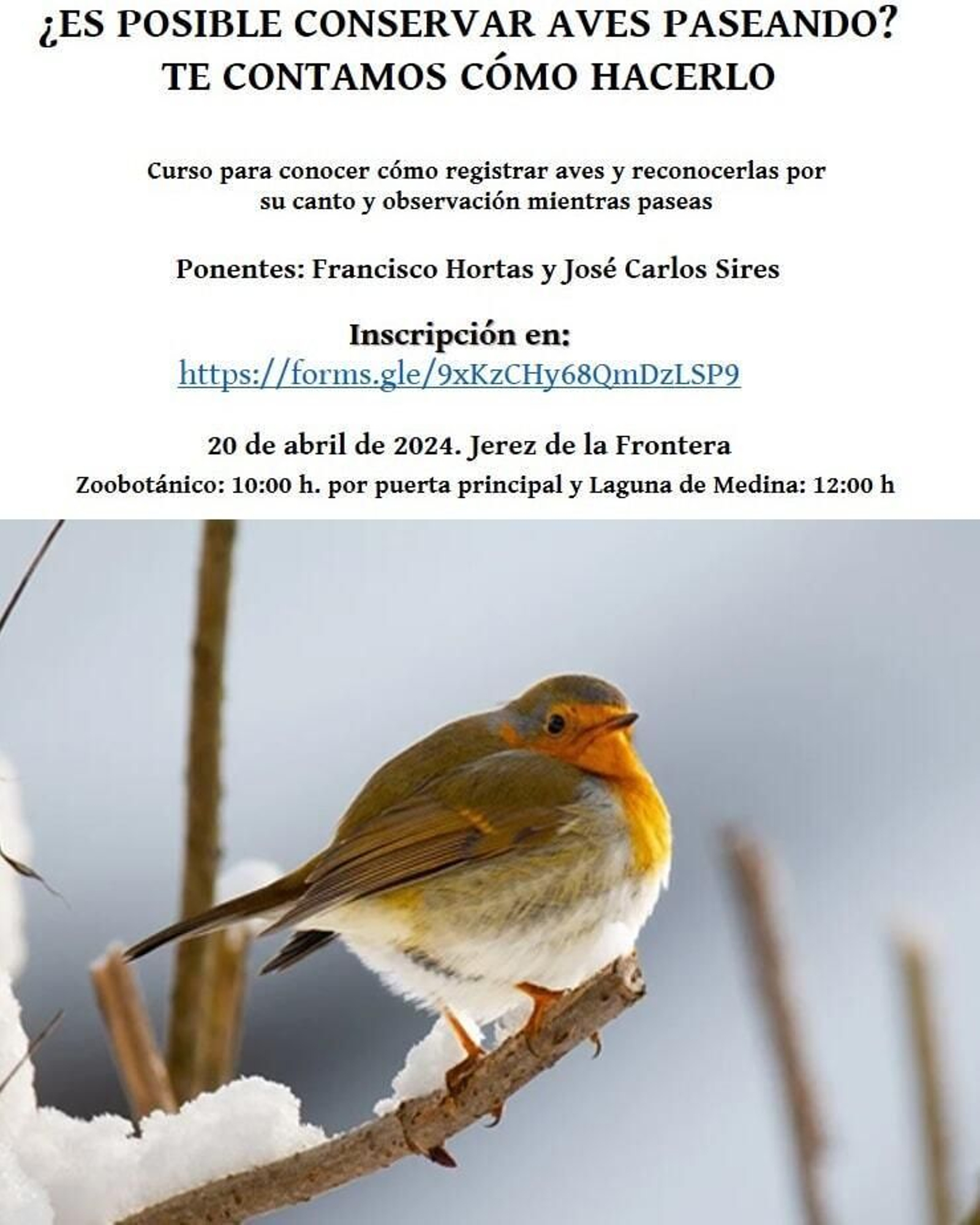 Curso para reconocer aves Curso para reconocer aves