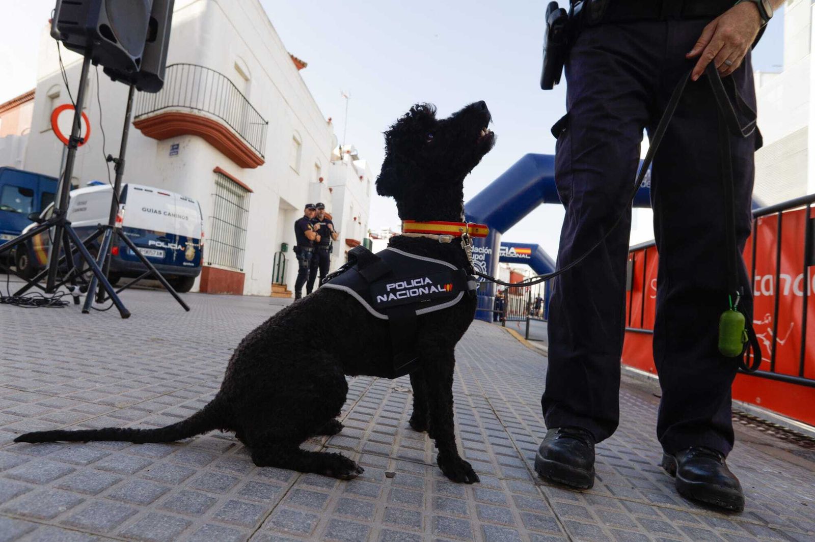 Las imágenes de la carrera Ruta 091 Kilómetros Solidarios celebrada en San Fernando