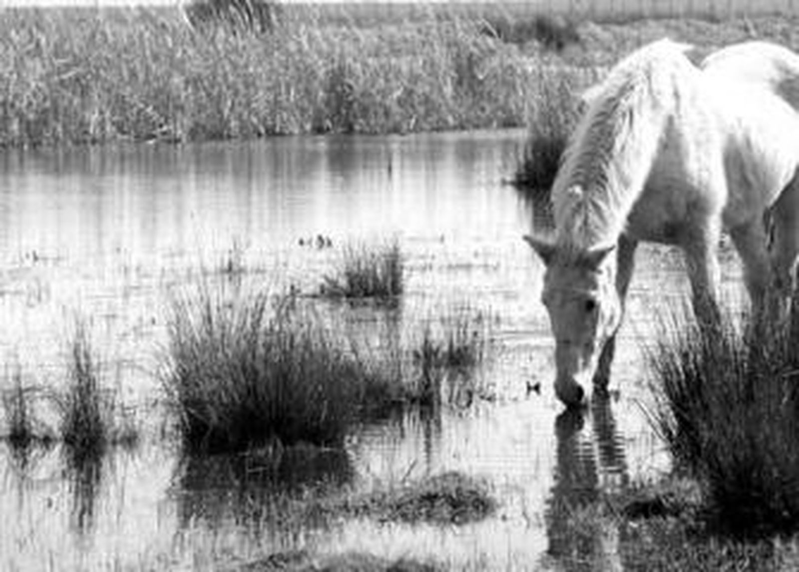 Los encuestados han valorado de forma notable los recursos ambientales del Parque.