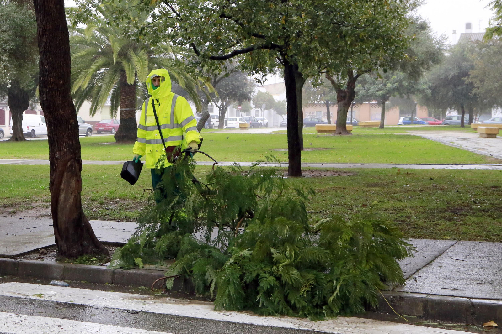 Las imágenes del temporal en Jerez