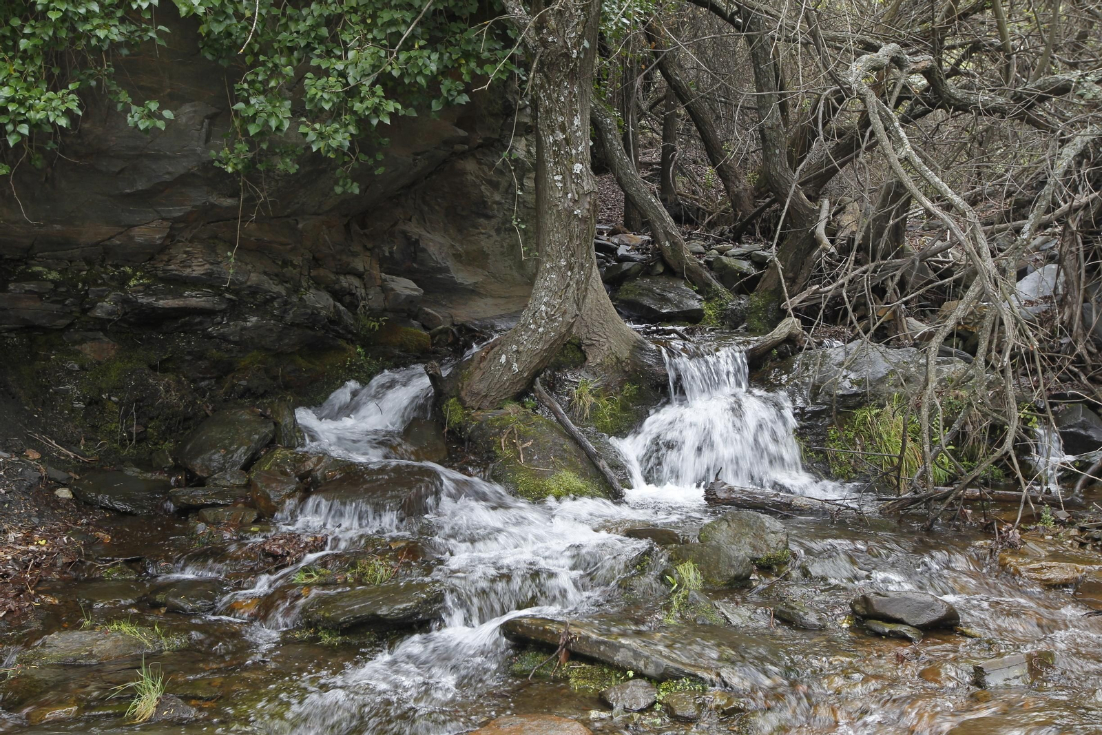 Naturaleza desconfinada. La Roza (Abrucena)