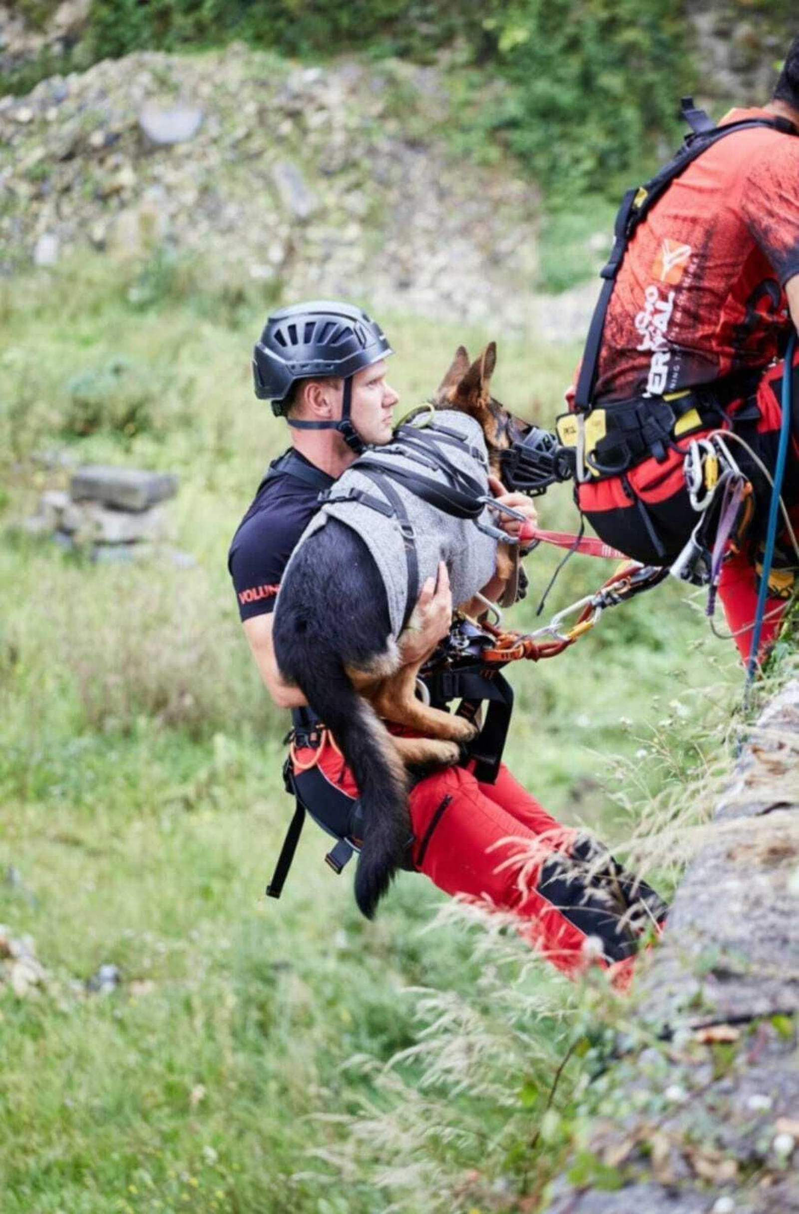 Otra prueba de rescate, con perro incluido.