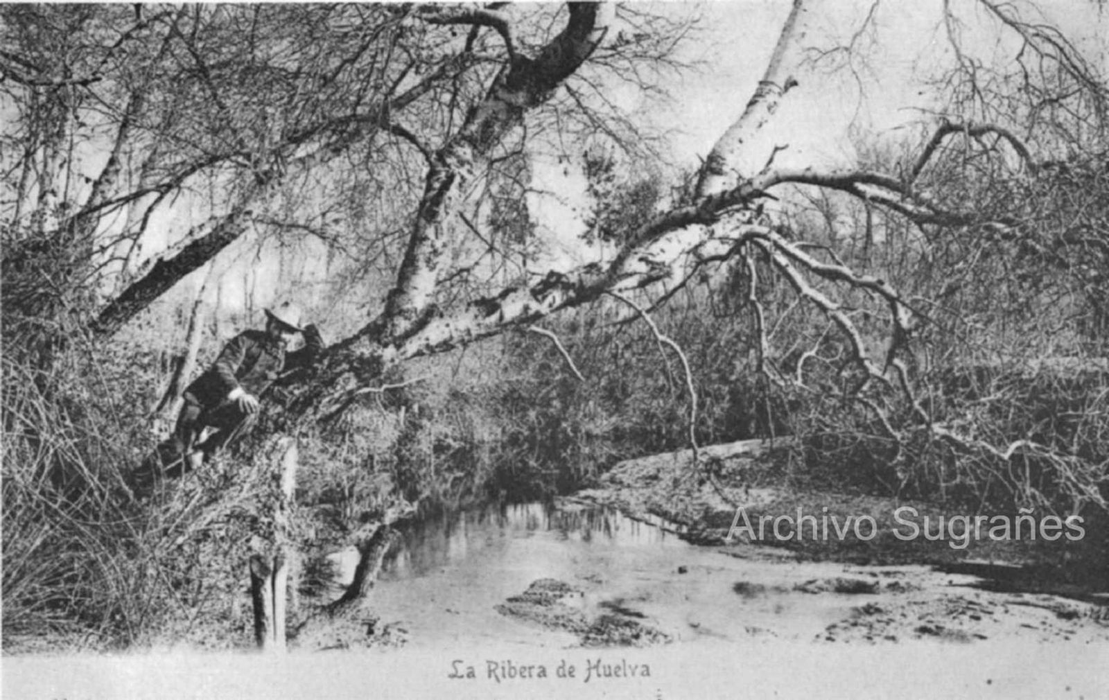 Paraje de la rivera en una postal de principios del siglo XX