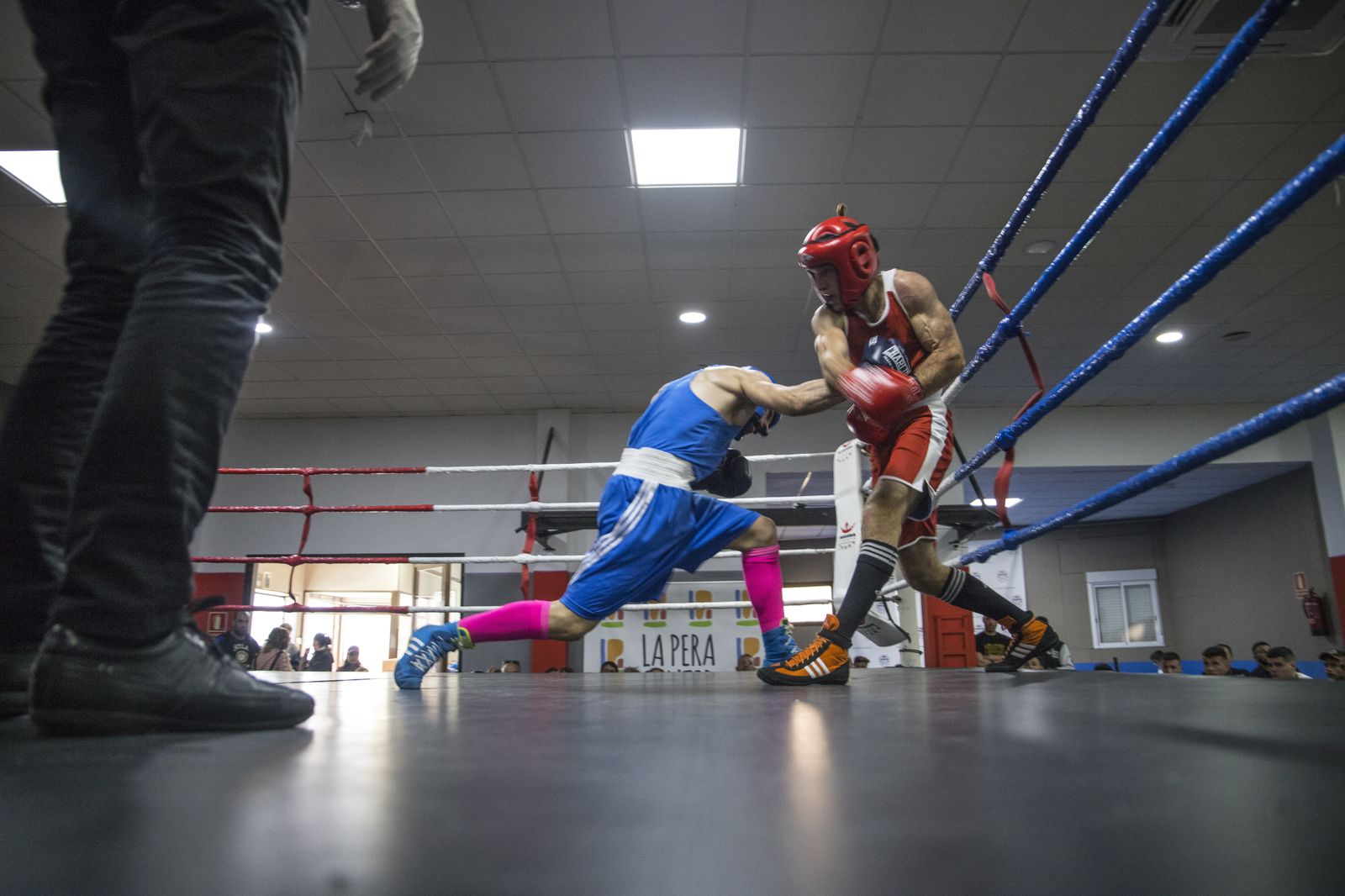 La cantera del boxeo granadino se luce en Armilla