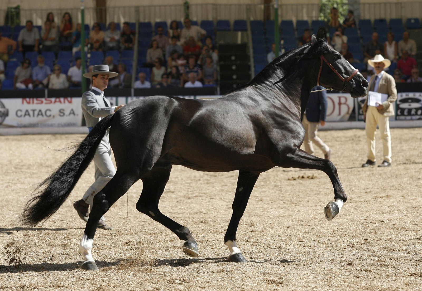 Imagen de archivo de una exhibición en Caballerizas Reales.