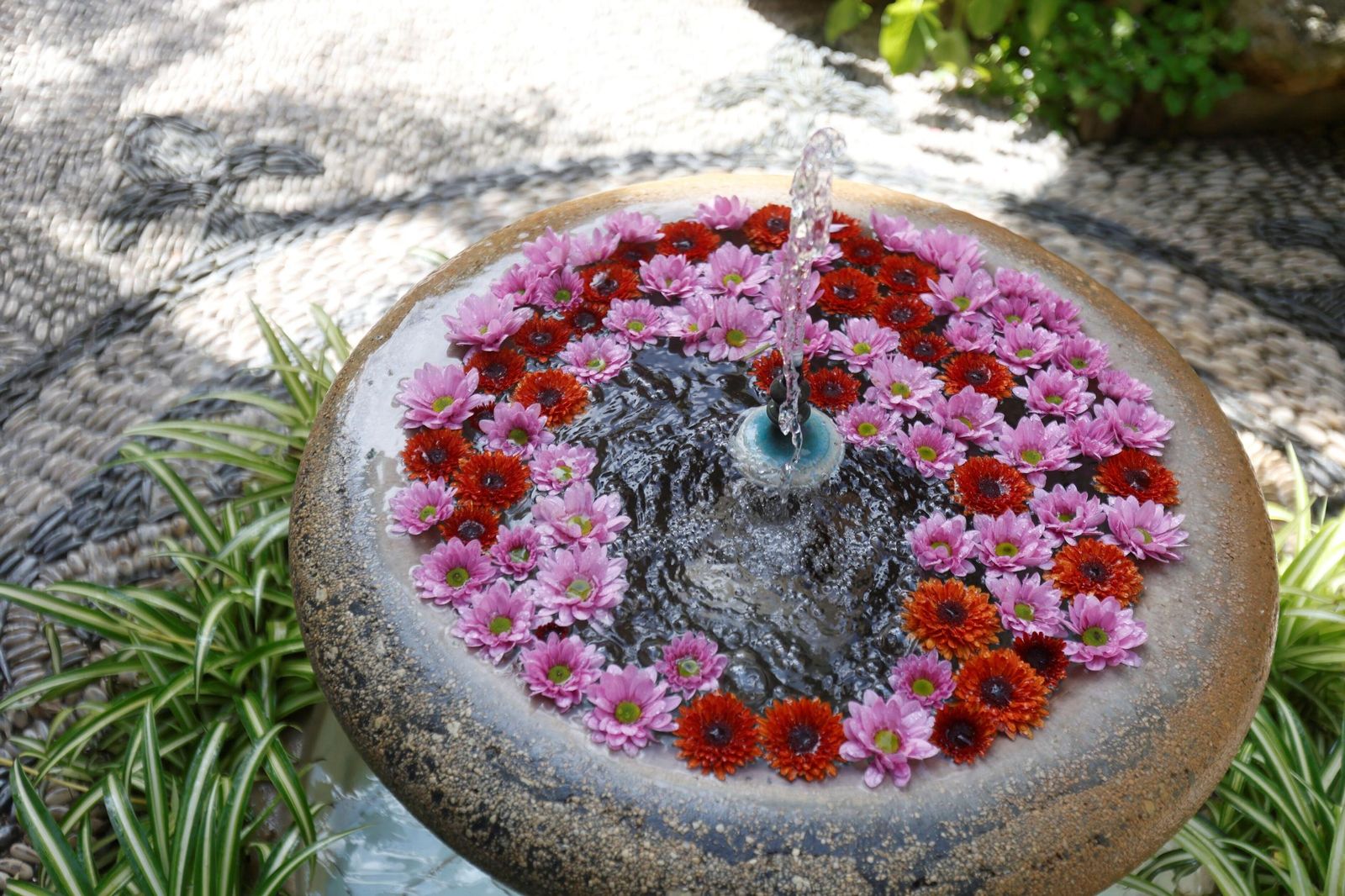Los Patios de Córdoba que abren este Viernes Santo, en imágenes