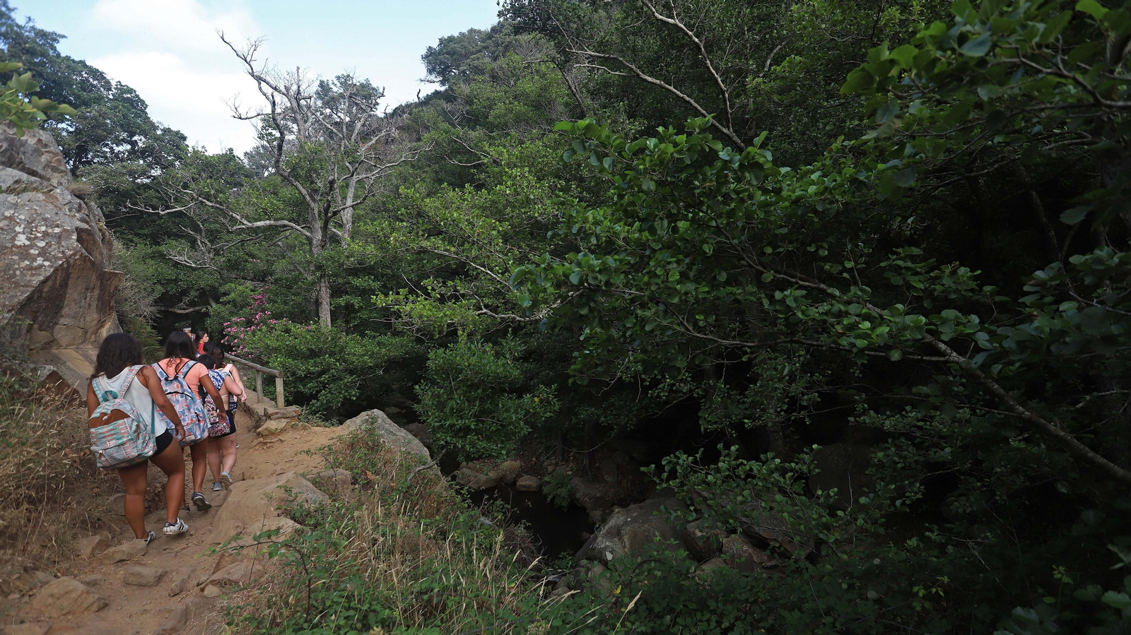 Basura en el sendero del Río de la Miel