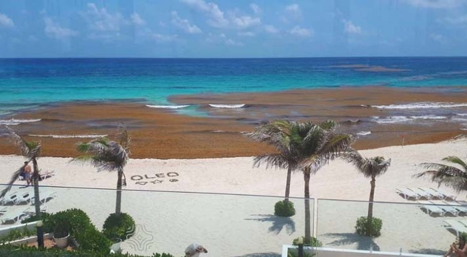 Las playas llenas de sargazo