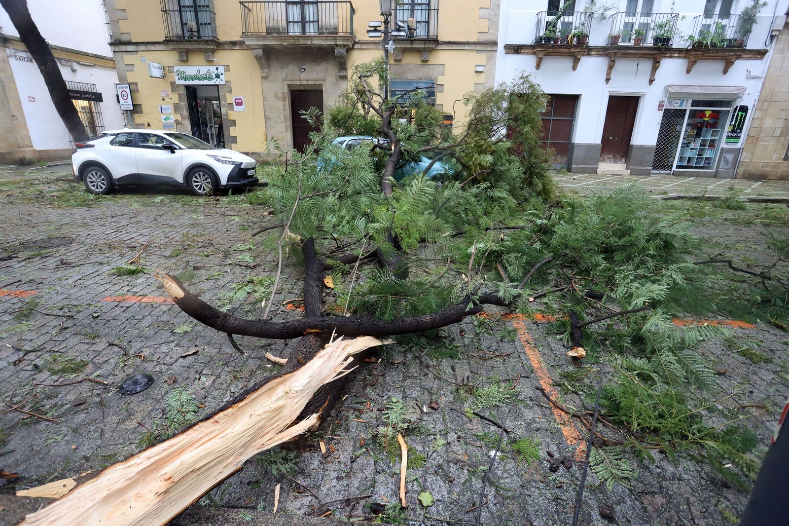 Imágenes del paso de la borrasca Kristin por el centro de Jerez