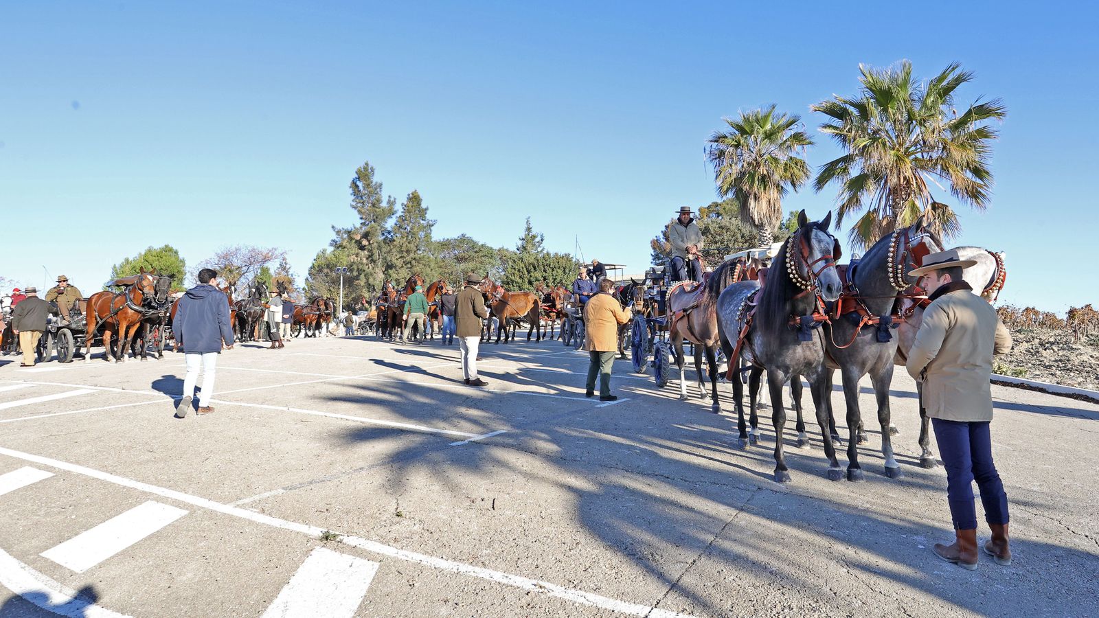 II Ruta Viñas de Jerez