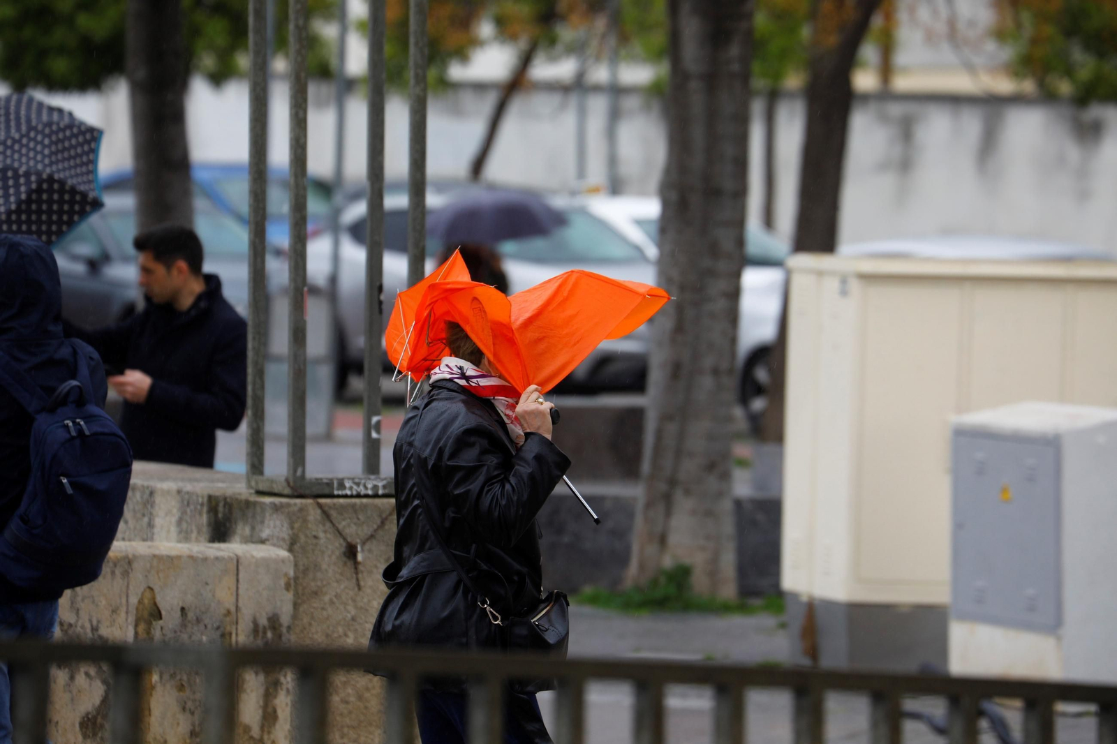 La borrasca Martinho aprieta en Córdoba, en imágenes
