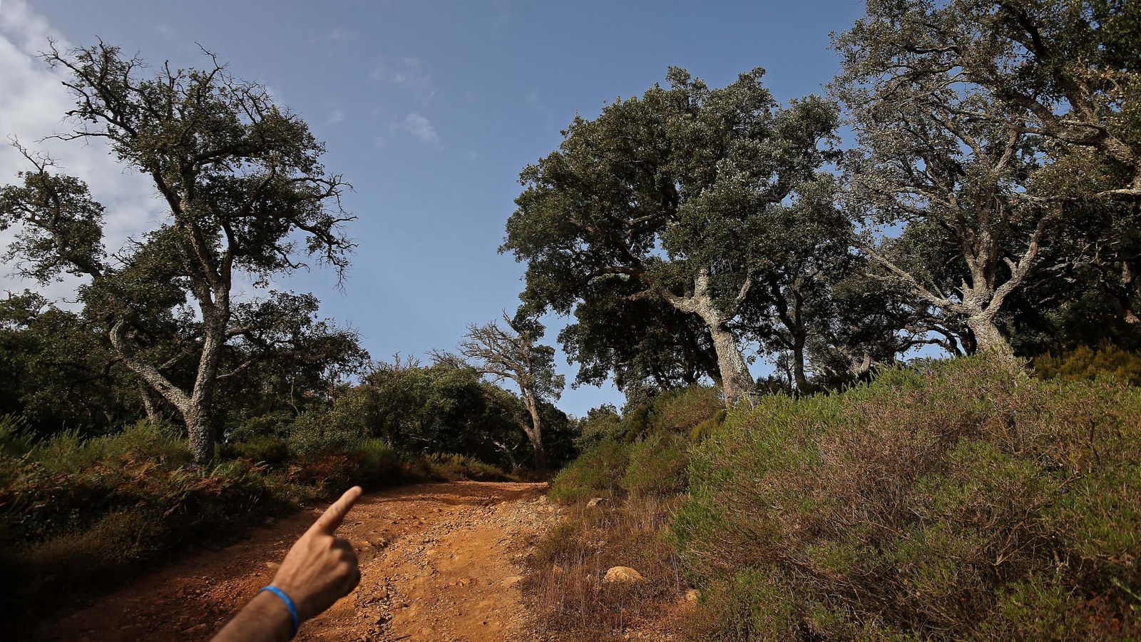 Las mejores fotos de San Carlos del Tiradero