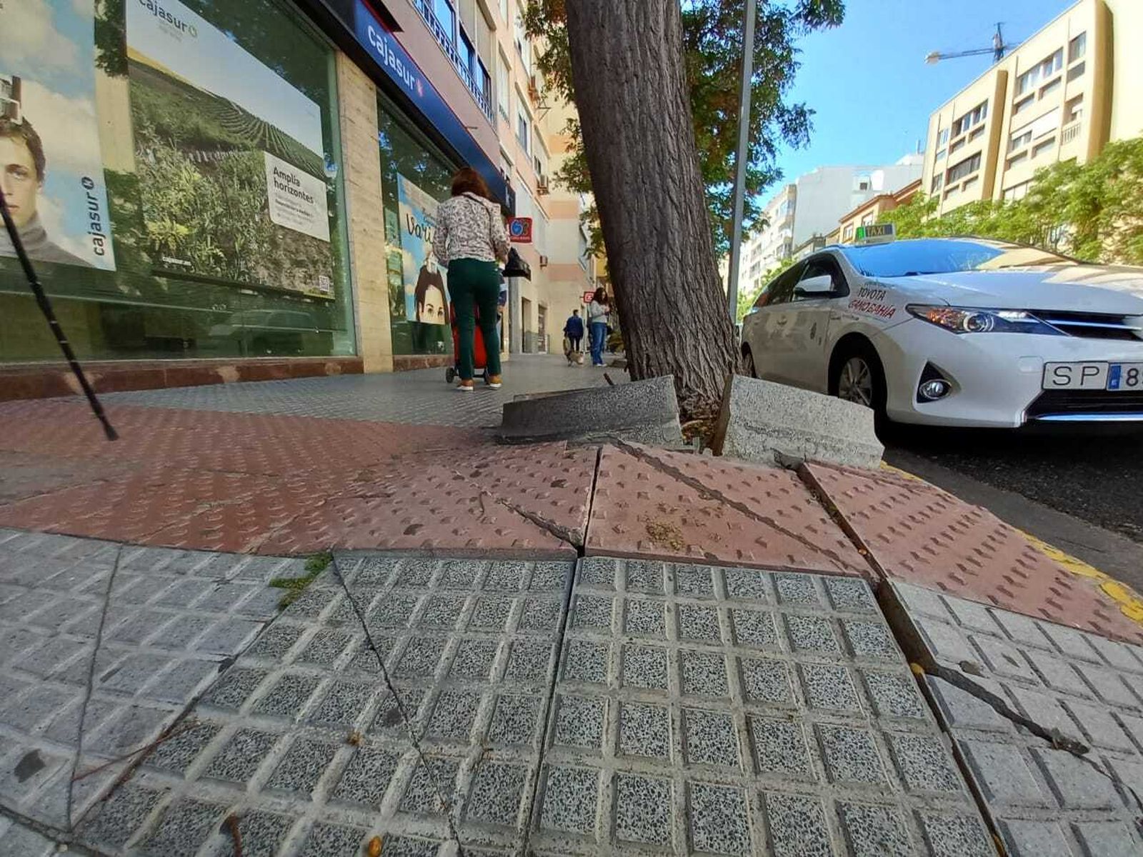 Parterres de la Avenida