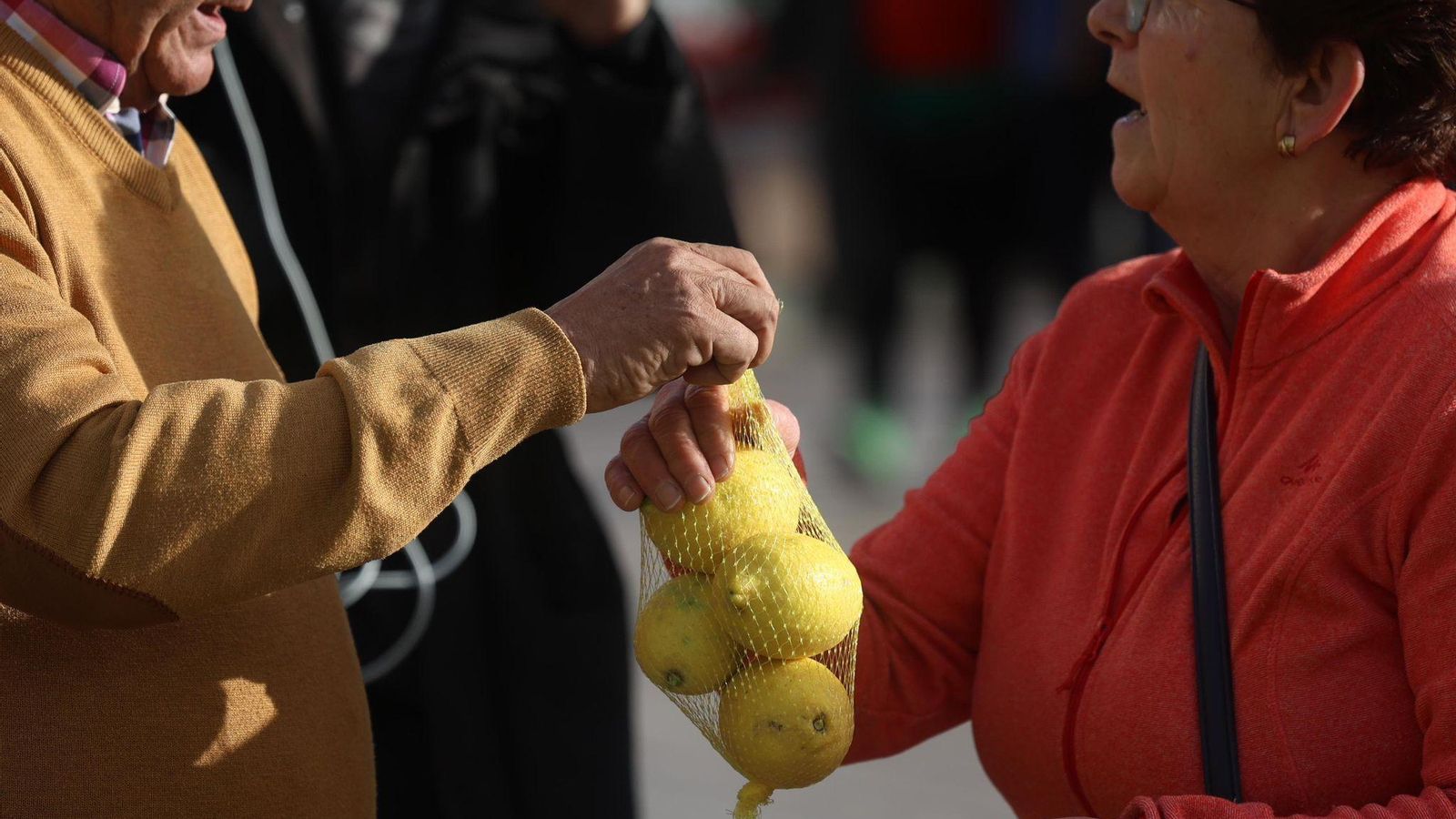 Ciudadanos recogiendo bolsas de limones Ciudadanos recogiendo bolsas de limones