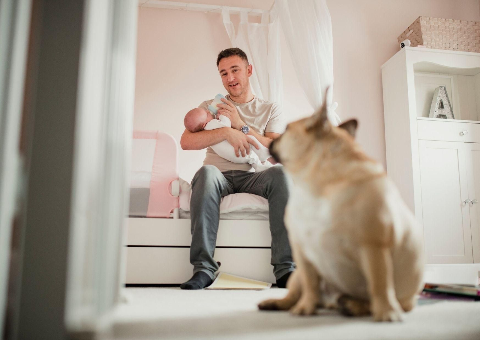 ¿Cómo saber si mi perro es celoso?