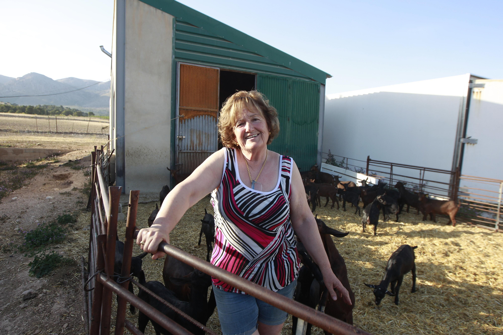 Cati Guirao, una ganadera hecha a sí misma, en imágenes