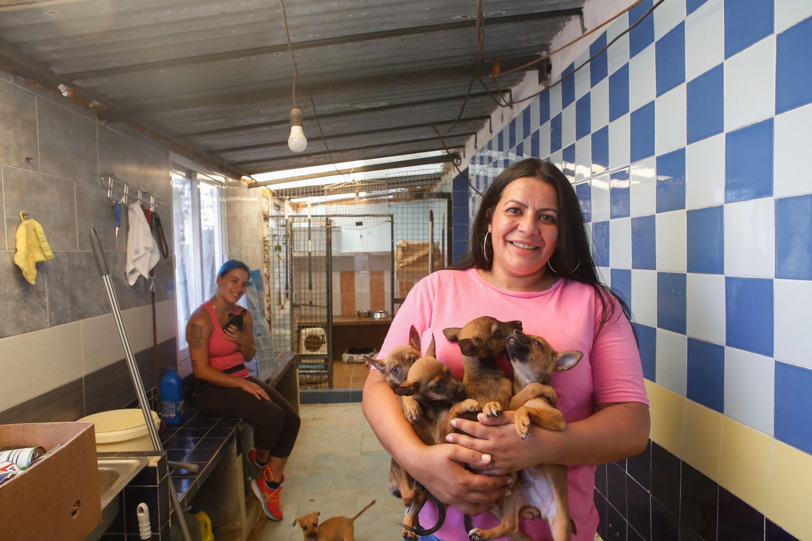 Las fotos de la protectora de animales de La Línea El gato andaluz