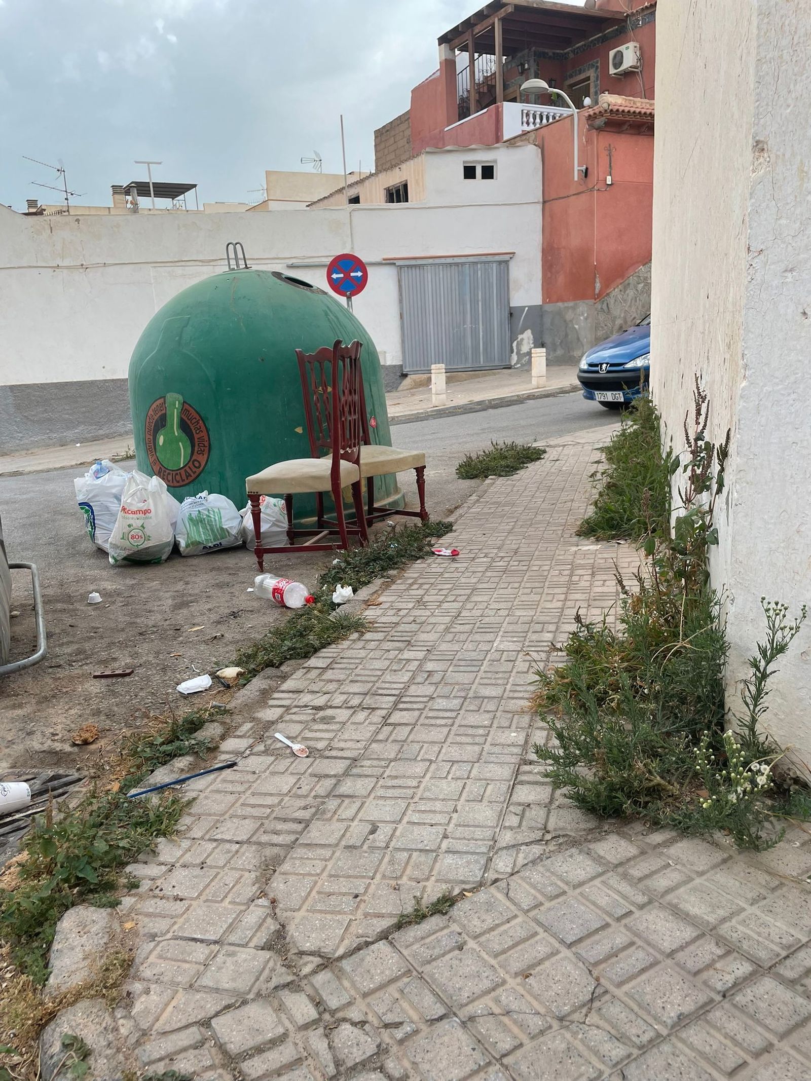 Proliferación de matas y hierbas en todas las calles de Las Angustias