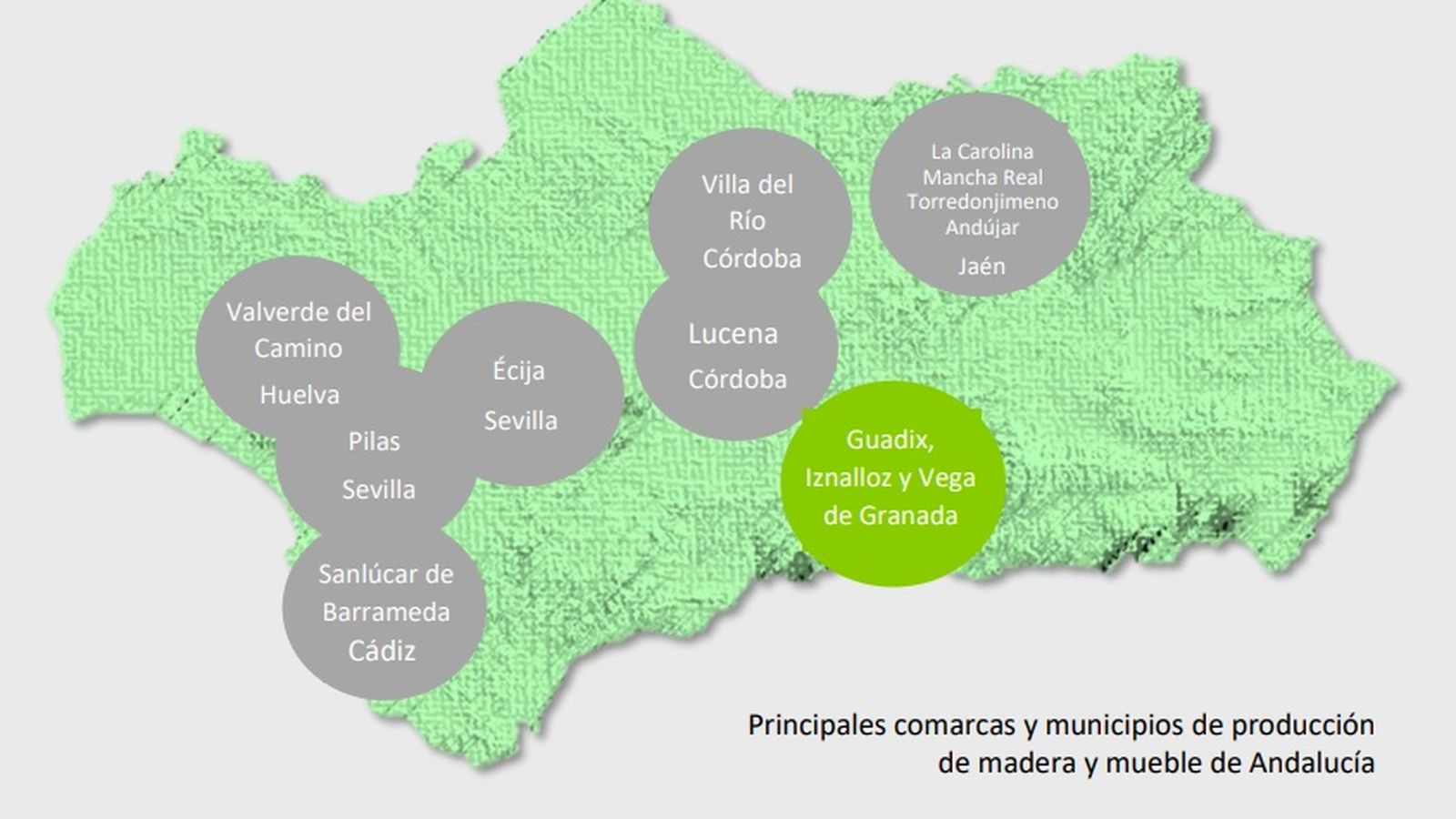 Principales comarcas y municipios de producción maderera.