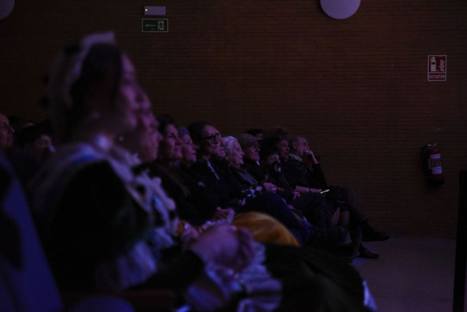 Las fotos del pregón del Carnaval de La Línea 2026