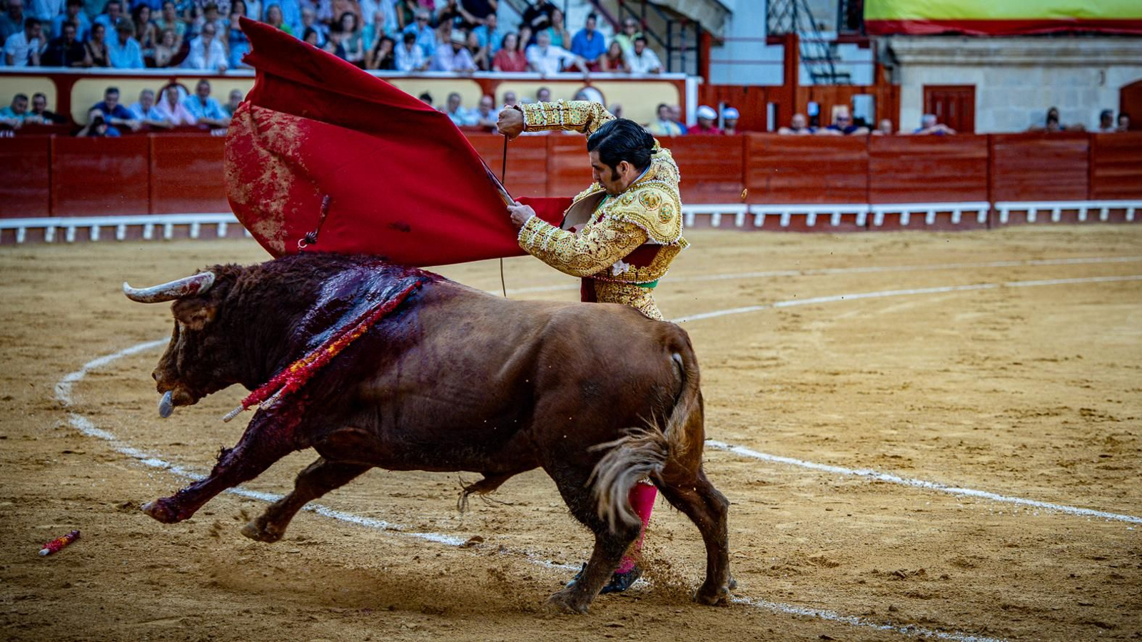 Las imágenes de la corrida de toros en El Puerto: Morante, Talavante y Juan Ortega