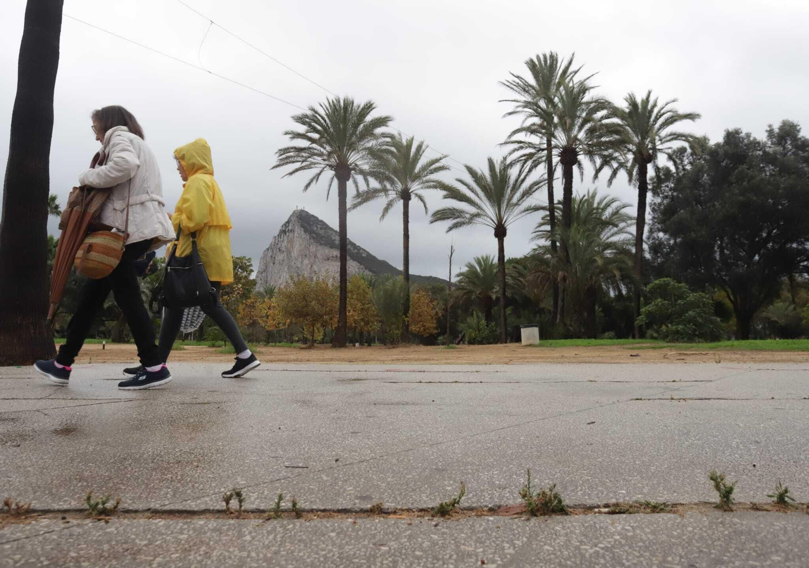 Lluvia en La Línea.