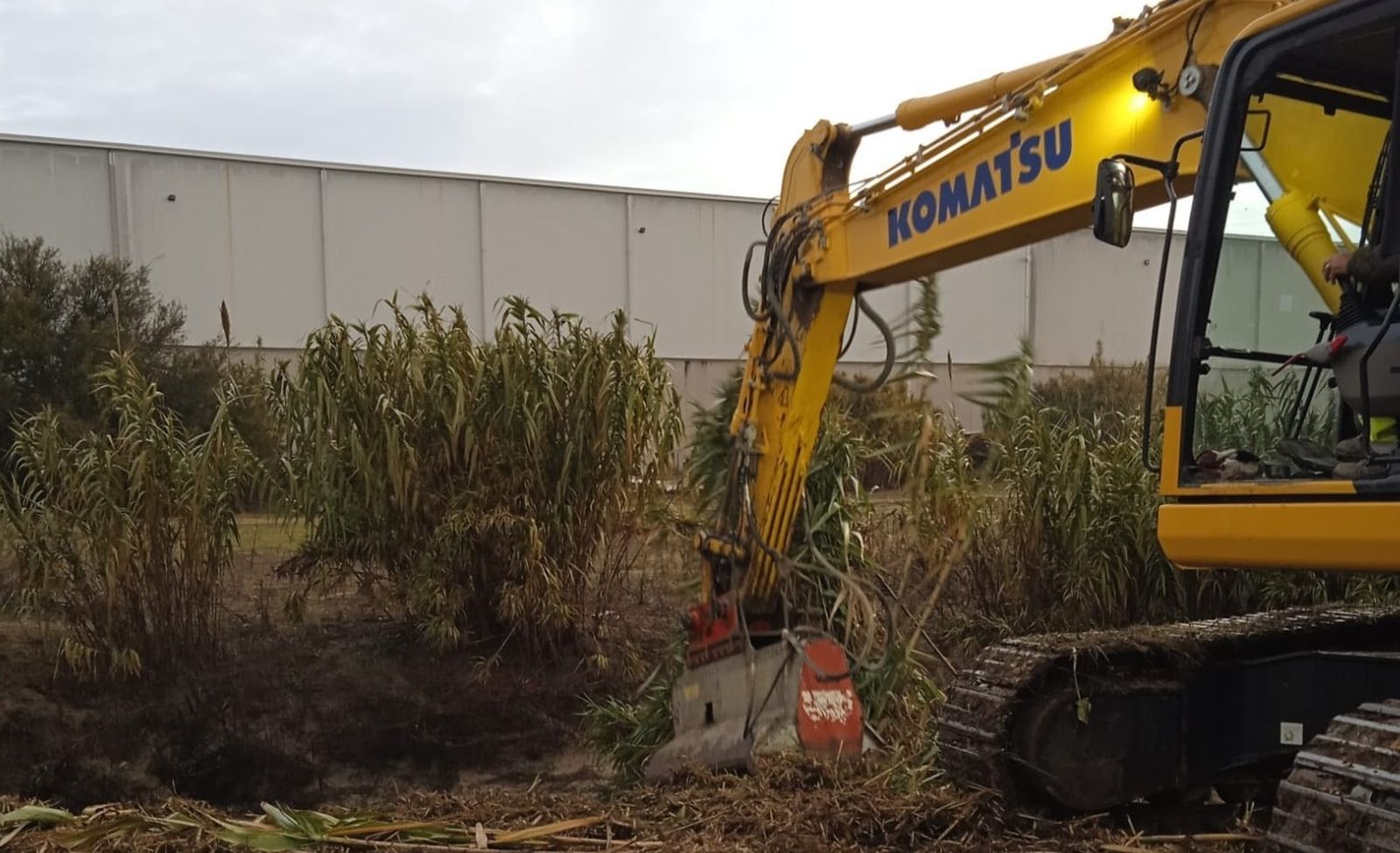 Una de las máquinas procediendo a la limpieza en los accesos a Guadalcacín