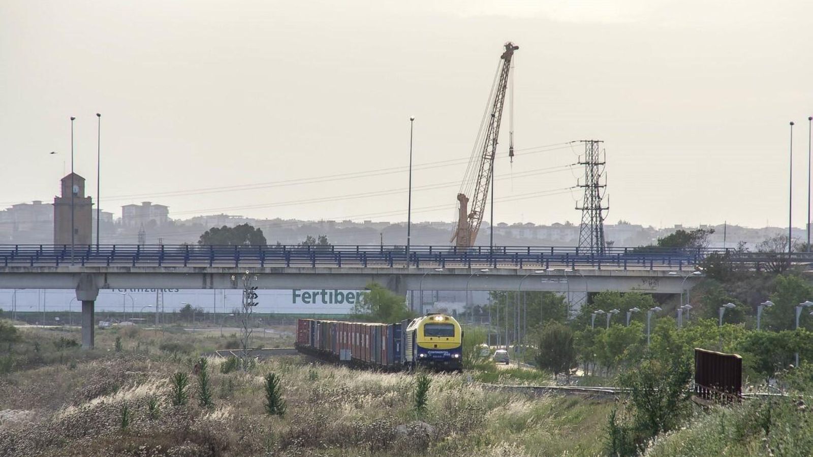 Tren de contenedores saliendo del Puerto de Sevilla a la altura de Palmas Altas.