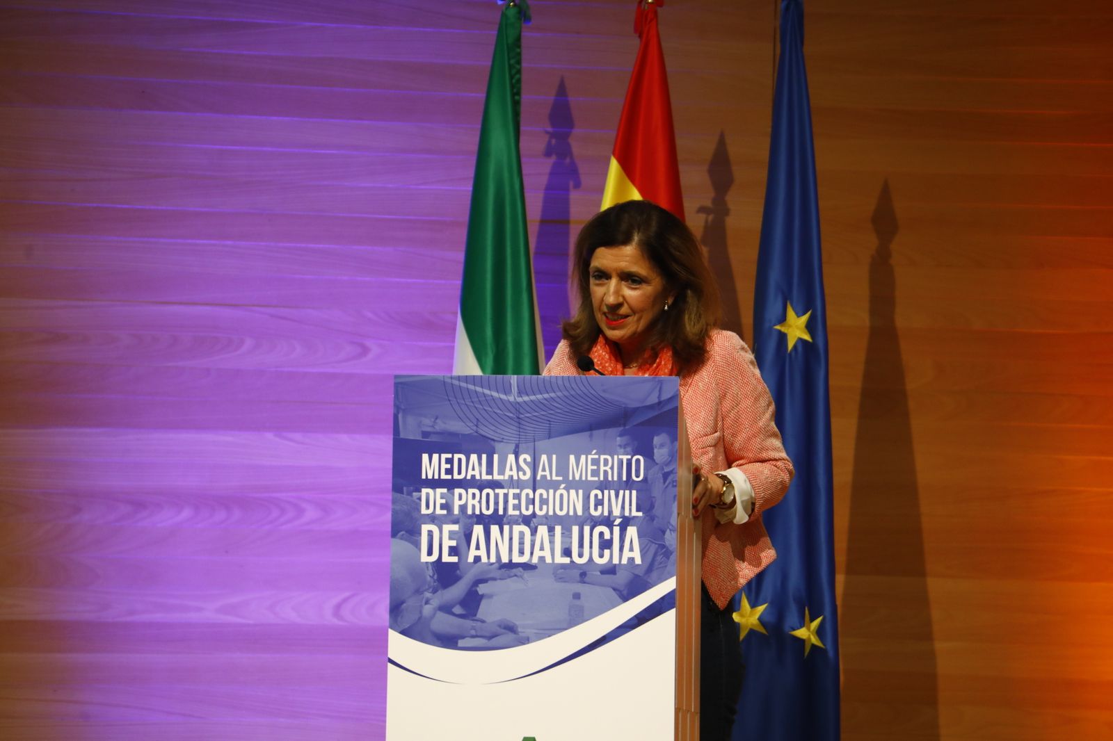 La entrega de la medalla al mérito de protección civil a las agrupaciones de Córdoba, en imágenes