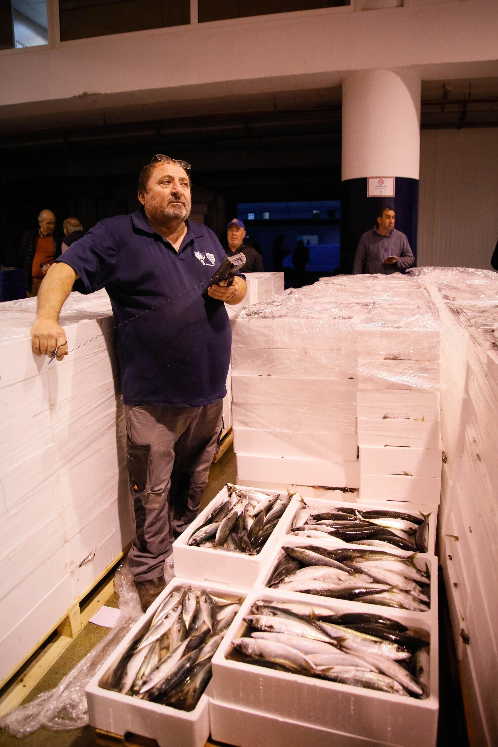 Te contamos en imágenes como ha sido la descarga de las traiñas en la lonja de Almería