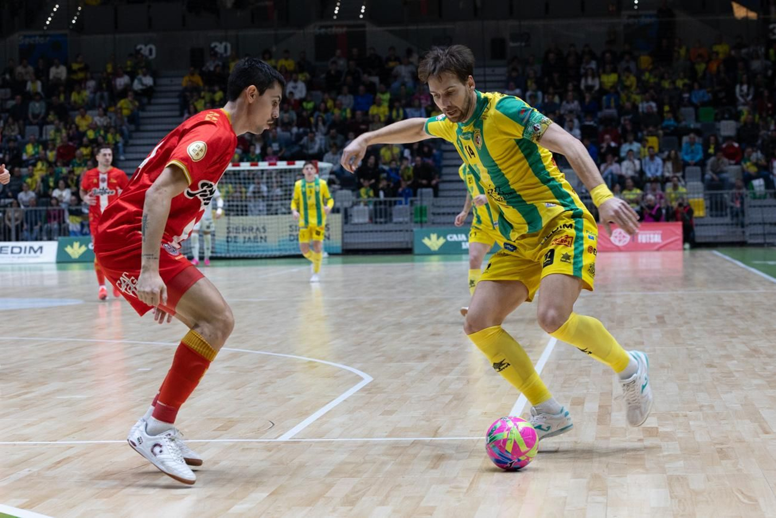 Las mejores imágenes del Jaén Paraíso Interior FS 1 - 1 Jimbee Cartagena