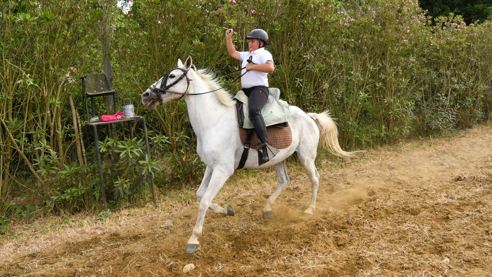 Las fotos de la Feria de Castellar