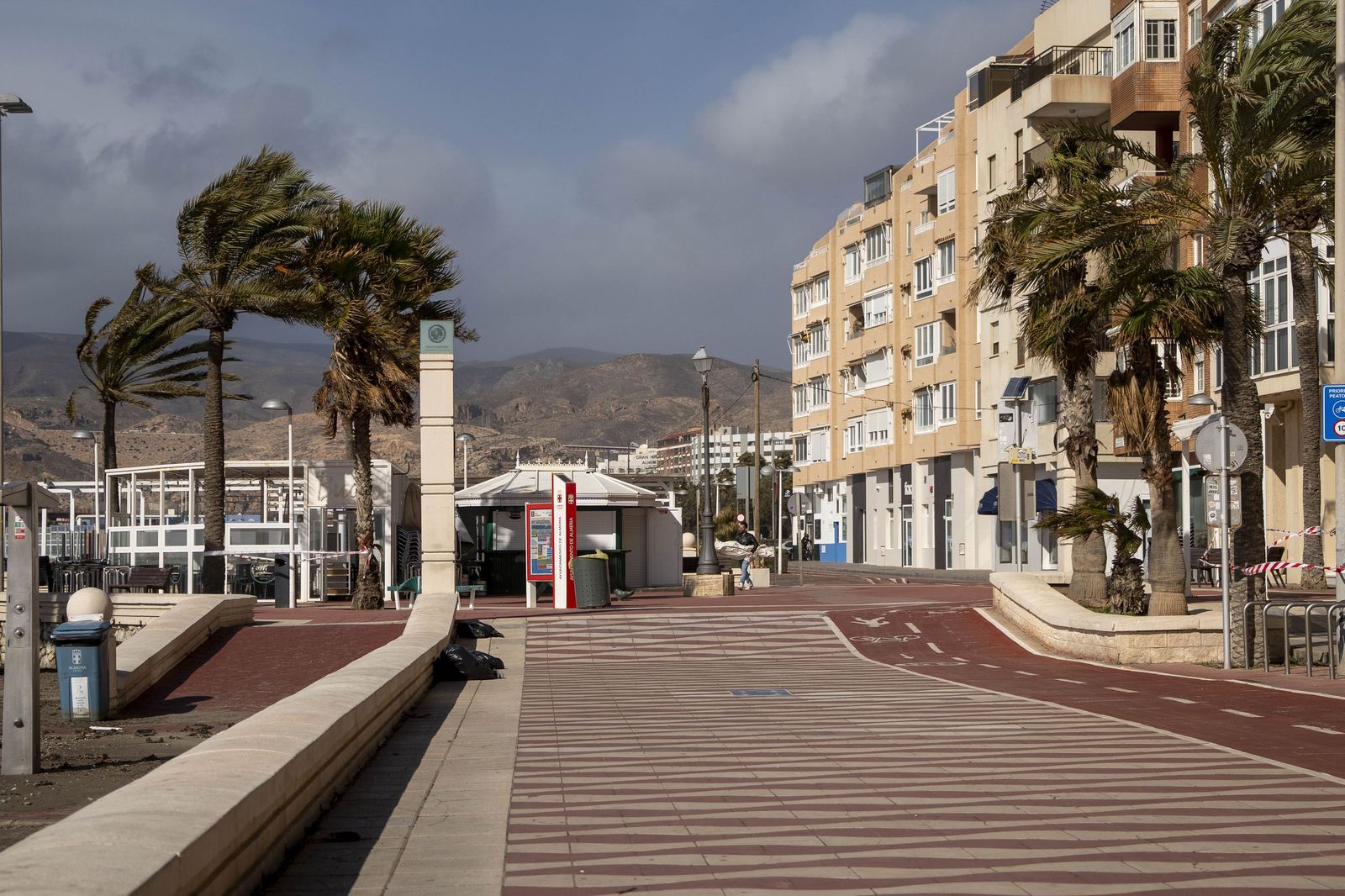 Palmeras movidas por el viento en el paseo marítimo de Almería.